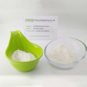 Chondroitin Sulfate Sodium for Bone Health