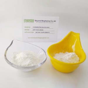 Chondroitin Sulfate Sodium for Bone Health