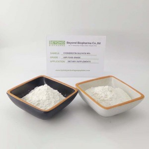 Chondroitin Sulfate Sodium for Bone Health