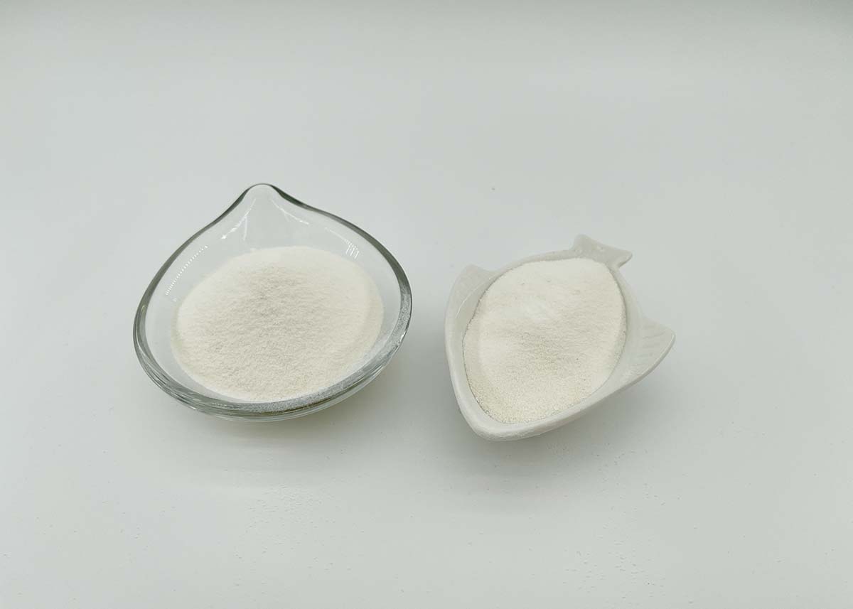 Multiple Effects of Chondroitin Sulfate Sodium