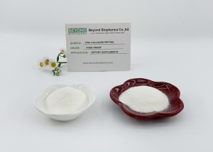 Food Grade Fish Collagen Peptide Benefits for Skin Beauty