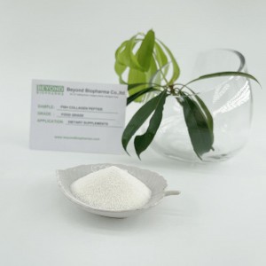 Fast Delivery Collagen Peptides And Hydrolyzed Collagen - Hydrolyzed Collagen peptide Powder from Fish scale – BEYOND