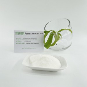 I-Hydrolyzed Collagen peptide Powder evela kwisikali seentlanzi