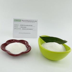 Hydrolyzed Bovine Collagen Peptide with good solubility