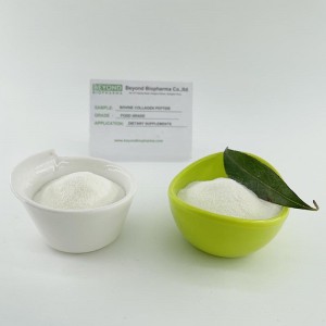 Hydrolyzed Bovine Collagen Peptide with good solubility