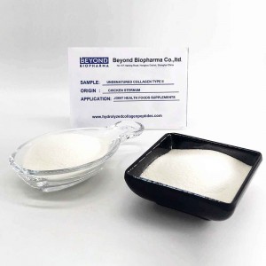 Hydrolyzed Chicken Collagen type ii for Bone Health