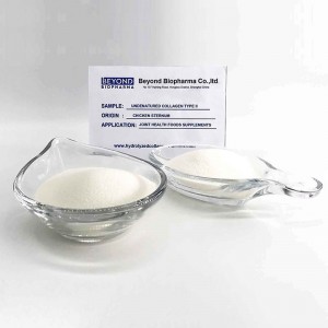 Hydrolyzed Chicken Collagen type ii for Bone Health