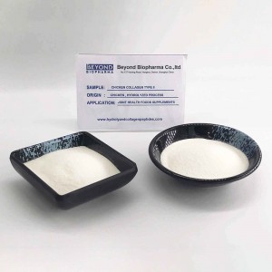 Chicken Collagen type ii for Joint Health