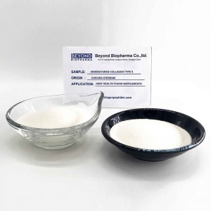 Undenatured Chicken Collagen type ii for Joint Health